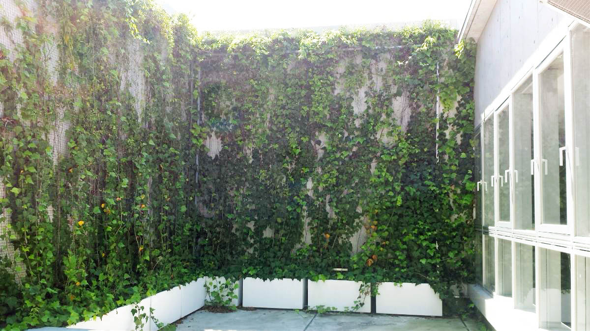 壁面緑化 屋上緑化システム