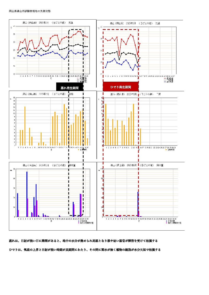 岡山県：２０２３年７月～８月酷暑期の気温・日照・降水量　