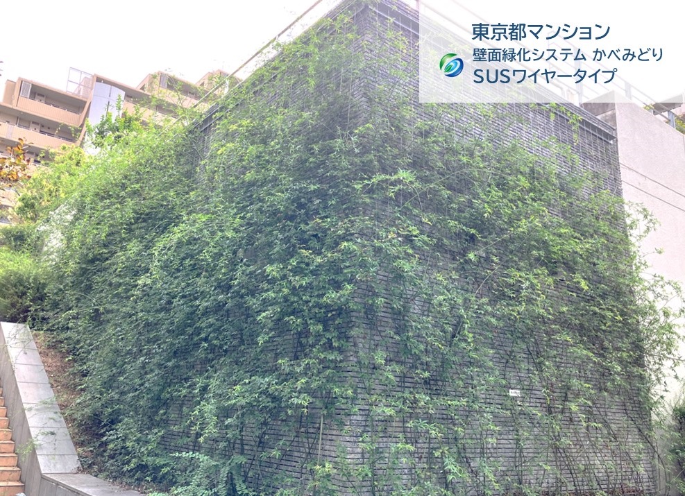 2025年9月 東京都マンション：緑化面積80㎡