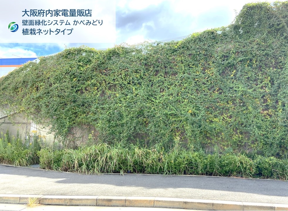 2021年10月 大阪府家電量販店：緑化面積315㎡