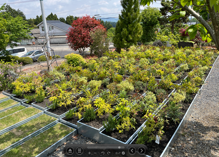 現場での施工実績とあわせて、土壌厚や適正植物の検証を継続しています。