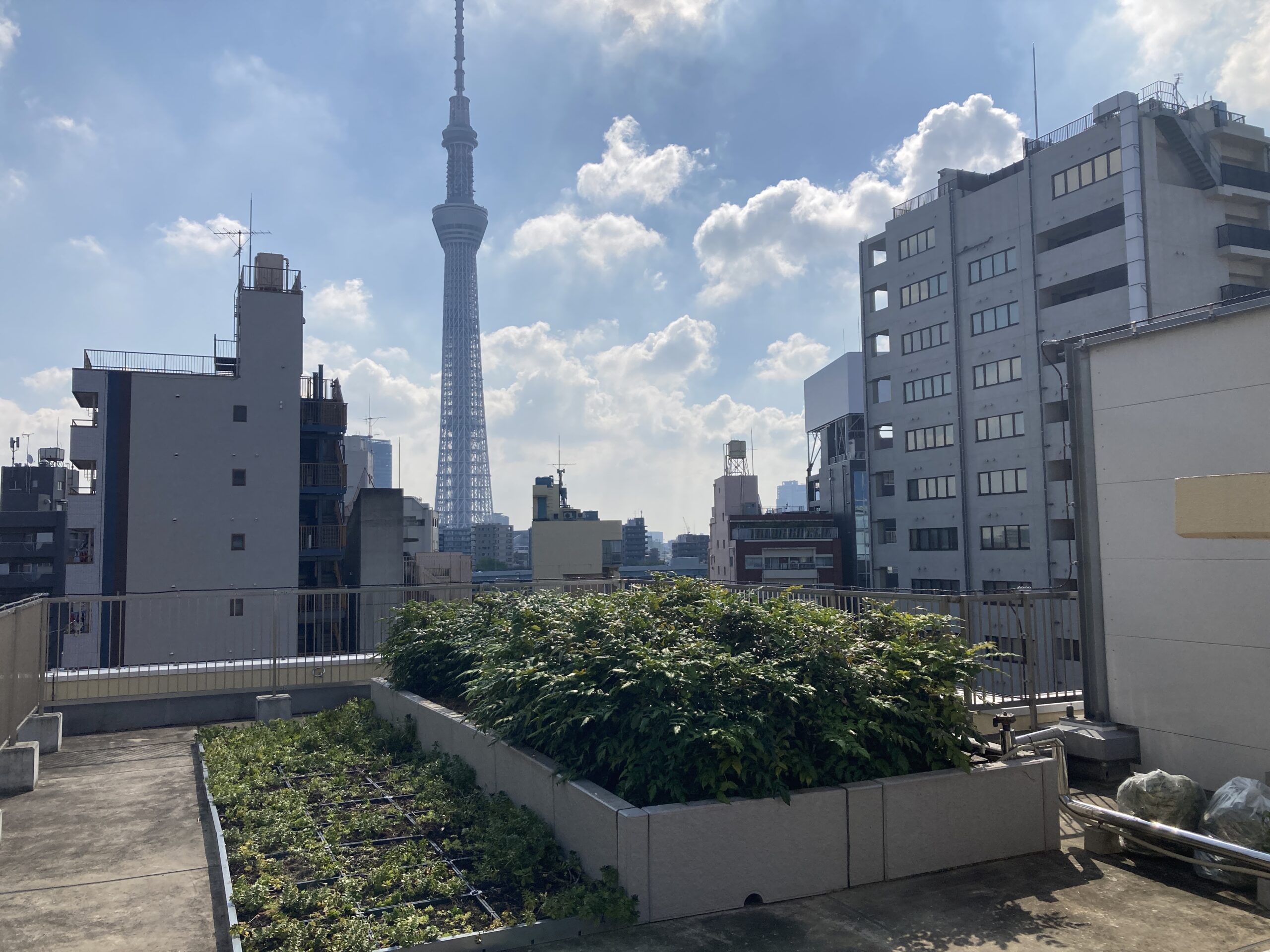 スカイツリーを望む、都市の眺望を活かした、憩いの屋上空間。